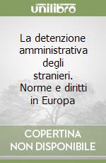 La detenzione amministrativa degli stranieri. Norme e diritti in Europa libro