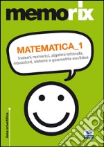 Matematica. Vol. 1: Insiemi numerici, algebra letterale, equazioni, sistemi e geometria euclidea libro