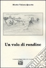 Un volo di rondine