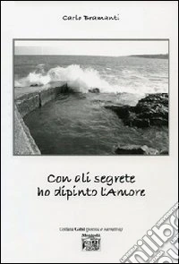 Con ali segrete ho dipinto l'amore libro
