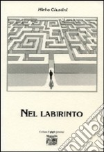 Nel labirinto libro