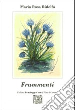 Frammenti libro