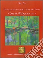 Antologia delle più belle poesie del premio Città di Melegnano 2014 libro