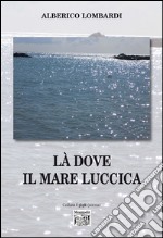 Là dove il mare luccica libro