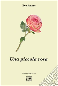 Una piccola rosa