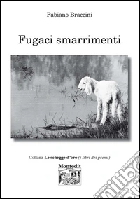 Fugaci smarrimenti libro