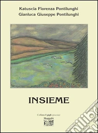 Insieme libro