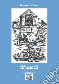 Myosotis
