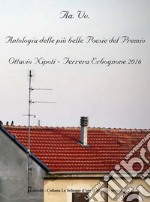 Antologia delle più belle poesie del premio Ottavio Napoli, Ferrera Erbognone 2016 libro