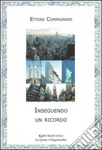 Inseguendo un ricordo libro