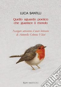 Quello sguardo poetico che guarisce il mondo. Navigare attraverso il mare letterario di Antonella Colonna Vilasi libro