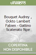 Bouquet Audrey , Ockto Lambert Fabien - Gattino Scatenato Npe libro