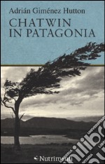 Chatwin in Patagonia