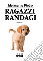 Ragazzi randagi