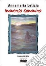 Immenso cammino libro