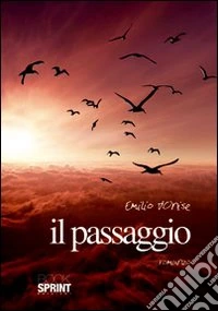 Il passaggio libro
