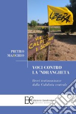 Voci contro la 'Ndrangheta. Brevi testimonianze dalla Calabria centrale