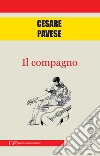 Il compagno libro