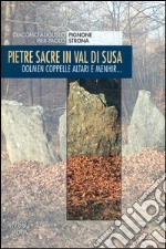 Pietre sacre in Val di Susa. Dolmen coppelle altari e menhir... libro