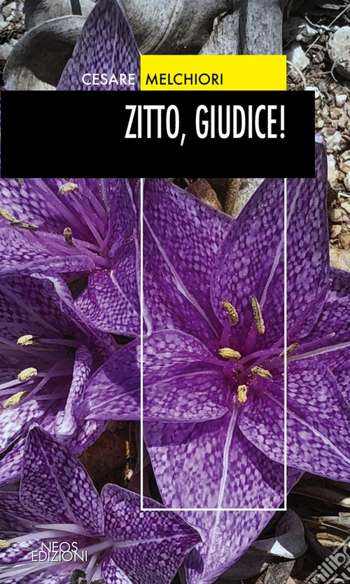 Zitto, giudice!