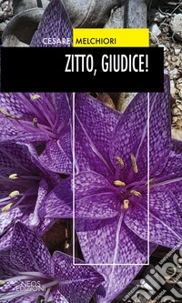 Zitto, giudice! libro