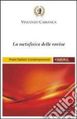 La metafisica delle rovine libro