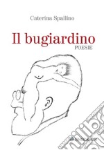 Il bugiardino libro