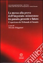 La messa alla prova dell'imputato minorenne tra passato, presente e futuro. L'esperienza del Tribunale di Taranto libro