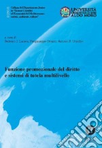 Funzione Promozionale Del Diritto E Sistemi Di Tutela Multilivello libro