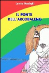 Il ponte dell'arcobaleno libro