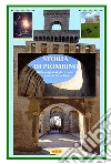 Storia di Piombino. Dalle origini ai giorni nostri libro