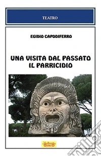 Una visita dal passato-Il parricidio libro