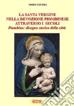 La santa Vergine nella devozione piombinese attraverso i secoli. Piombino: disegno storico della città libro