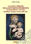 La santa Vergine nella devozione piombinese attraverso i secoli. Piombino: disegno storico della città libro di Tavera Nedo