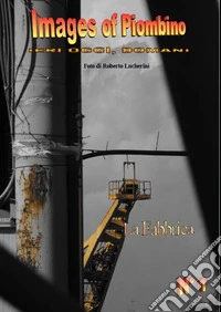 Images of Piombino. La fabbrica. Vol. 1 libro