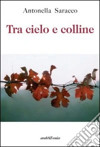 Tra cielo e colline libro