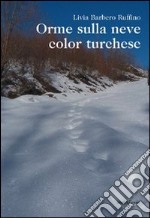 Orme sulla neve color turchese