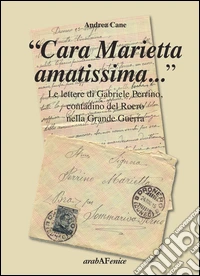 «Cara Marietta amatissima...». Le lettere di Gabriele Perrino, contadino del Roero nella grande guerra libro