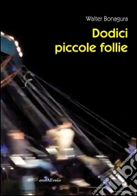 Dodici piccole follie libro