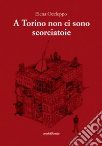 A Torino non ci sono scorciatoie libro