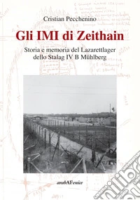 Gli IMI di Zeithain. Storia e memoria del Lazarettlager dello Stalag IV B Mühlberg libro