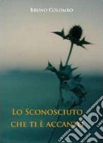 Lo sconosciuto che ti è accanto libro