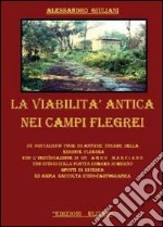 La viabilità antica nei campi Flegrei libro