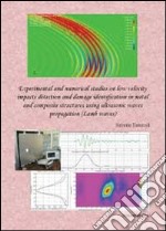 Experimental and numerical studies