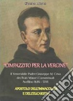 L'impazzito per la vergine libro