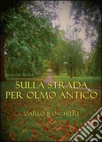 Sulla strada per Olmo Antico
