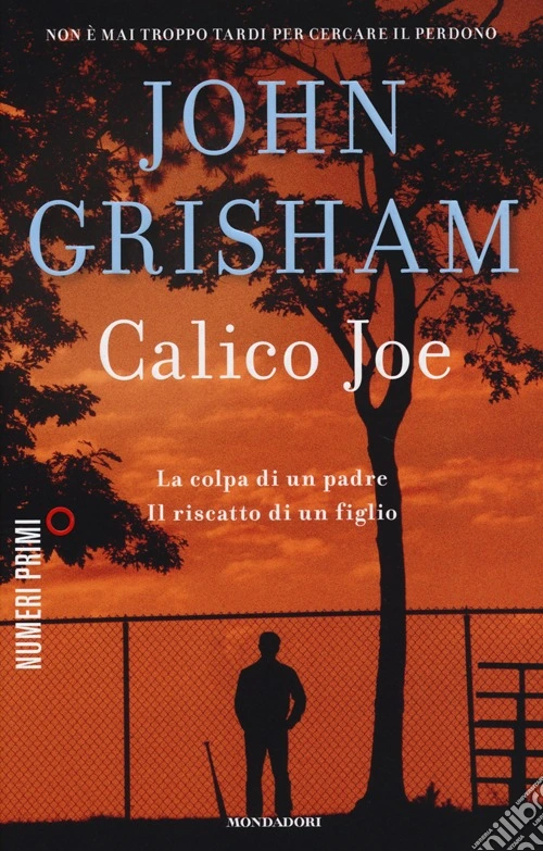 Calico Joe