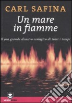 Un mare in fiamme. Il più grande disastro ecologico di tutti i tempi