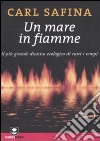 Un mare in fiamme. Il più grande disastro ecologico di tutti i tempi libro di Safina Carl