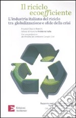 Il riciclo ecoefficiente. L'industria italiana del riciclo tra globalizzazione e sfide della crisi libro